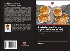 Couverture de Bactéries auxiliaires mycorhiziennes (BAM)