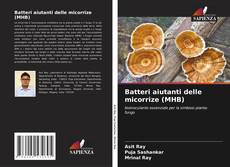 Capa do livro de Batteri aiutanti delle micorrize (MHB) 