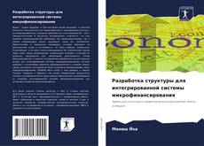 Buchcover von Разработка структуры для интегрированной системы микрофинансирования