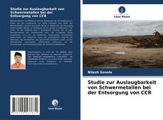 Capa do livro de Studie zur Auslaugbarkeit von Schwermetallen bei der Entsorgung von CCR 