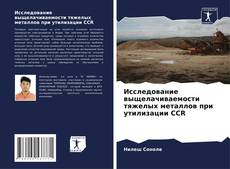 Buchcover von Исследование выщелачиваемости тяжелых металлов при утилизации CCR
