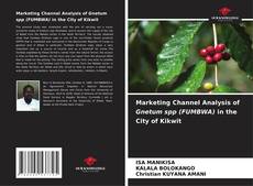 Buchcover von Marketing Channel Analysis of Gnetum spp (FUMBWA) in the City of Kikwit