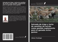 Bookcover of Salvado de trigo y torta de semillas de turrón como posible suplemento para el ganado ovino gumuz