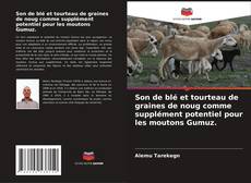 Borítókép a  Son de blé et tourteau de graines de noug comme supplément potentiel pour les moutons Gumuz. - hoz