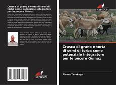 Bookcover of Crusca di grano e torta di semi di torba come potenziale integratore per le pecore Gumuz