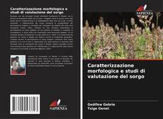 Обложка Caratterizzazione morfologica e studi di valutazione del sorgo