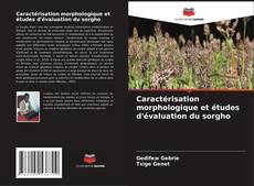 Buchcover von Caractérisation morphologique et études d'évaluation du sorgho