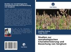 Studien zur morphologischen Charakterisierung und Bewertung von Sorghum的封面
