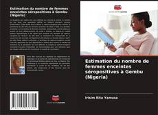 Portada del libro de Estimation du nombre de femmes enceintes séropositives à Gembu (Nigeria)