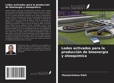 Buchcover von Lodos activados para la producción de bioenergía y oleoquímica