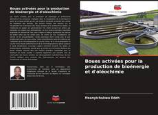 Portada del libro de Boues activées pour la production de bioénergie et d'oléochimie