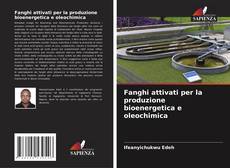 Bookcover of Fanghi attivati per la produzione bioenergetica e oleochimica