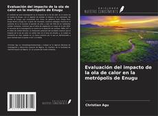 Bookcover of Evaluación del impacto de la ola de calor en la metrópolis de Enugu