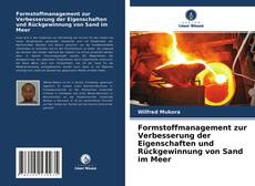 Formstoffmanagement zur Verbesserung der Eigenschaften und Rückgewinnung von Sand im Meer kitap kapağı