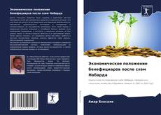 Bookcover of Экономическое положение бенефициаров после схем Набарда