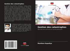 Bookcover of Gestion des catastrophes