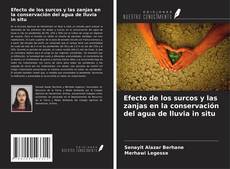 Capa do livro de Efecto de los surcos y las zanjas en la conservación del agua de lluvia in situ 