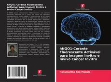 Capa do livro de hNQO1-Corante Fluorescente Activável para Imagem Invitro e Invivo Cancer Invitro 