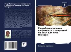Capa do livro de Разработка режима капремонта с поправкой на риск для NHIS Нигерии 