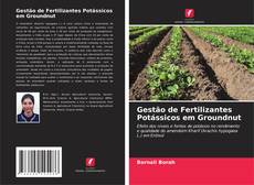 Обложка Gestão de Fertilizantes Potássicos em Groundnut