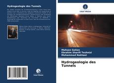 Hydrogeologie des Tunnels kitap kapağı