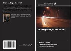 Hidrogeología del túnel kitap kapağı