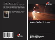 Buchcover von Idrogeologia del tunnel