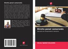 Couverture de Direito penal camaronês