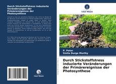 Copertina di Durch Stickstoffstress induzierte Veränderungen der Primärereignisse der Photosynthese