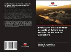 Bookcover of Évaluation de la situation actuelle et future des ressources en eau du Zimbabwe