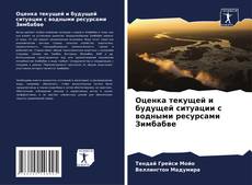 Capa do livro de Оценка текущей и будущей ситуации с водными ресурсами Зимбабве 