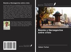 Bosnia y Herzegovina entre crisis kitap kapağı