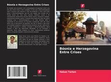 Bósnia e Herzegovina Entre Crises的封面