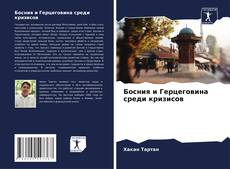 Босния и Герцеговина среди кризисов的封面