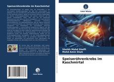 Bookcover of Speiseröhrenkrebs im Kaschmirtal