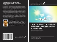 Bookcover of Características de la crisis internacional en el año de la pandemia