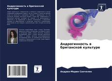 Capa do livro de Андрогинность в британской культуре 