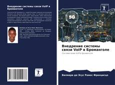 Buchcover von Внедрение системы связи VoIP в Броманголе