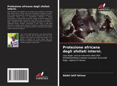 Buchcover von Protezione africana degli sfollati interni.