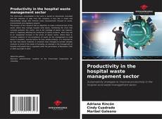 Copertina di Productivity in the hospital waste management sector