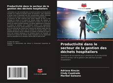 Buchcover von Productivité dans le secteur de la gestion des déchets hospitaliers
