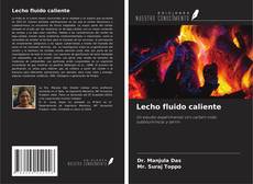 Buchcover von Lecho fluido caliente