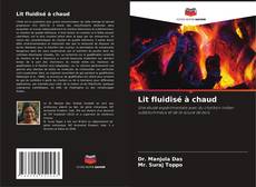 Bookcover of Lit fluidisé à chaud