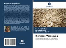 Borítókép a  Biomasse-Vergasung - hoz