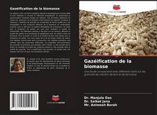 Обложка Gazéification de la biomasse