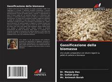 Capa do livro de Gassificazione della biomassa 