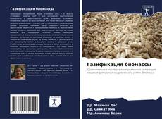 Bookcover of Газификация биомассы