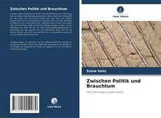 Portada del libro de Zwischen Politik und Brauchtum