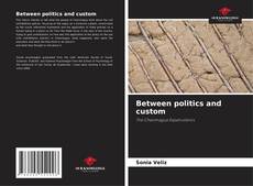 Copertina di Between politics and custom