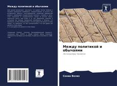 Bookcover of Между политикой и обычаями